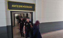Van ve 3 ilde fuhuş çetesine darbe: 18 kadın kurtarıldı