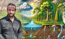 Van’daki yağışlar ekosistem için umut oldu