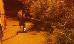Van’da bahçe yangını korkuttu
