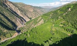 Hizan, doğaseverlerin yeni rotası oldu
