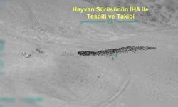 Van’da İHA destekli operasyon: 4 gözaltı