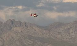 Hamile kadın ambulans helikopter ile Van'a getirildi