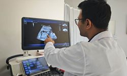 Van’da Tüp Bebek Merkezi'nin ilk gebelikleri yüz güldürdü