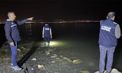 Milyonlarca inci kefali Van Gölü'ne dönüyor