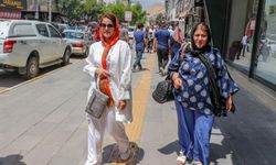 VANOTED'den Van turizmi için ortak merkez önerisi