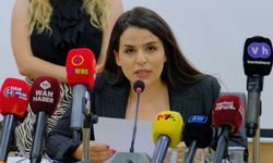 Van Barosu Rojin Kabaiş dosyasındaki hukuki sürece ilişkin açıklama yaptı
