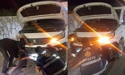 Van'da kamyonetin çarptığı köpeği kurtardı