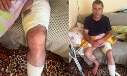 Van'da arazi anlaşmazlığı silahlı kavgaya dönüştü: 1 yaralı