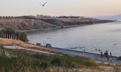 Tuşba'daki mavi bayraklı plajı pislik götürüyor!