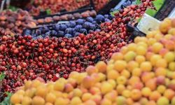Haziranda fiyatı en çok artan ve azalan ürünler belli oldu