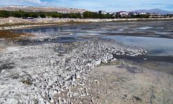 Van Gölü'ndeki mikrobiyalitler yeniden su altında kaldı