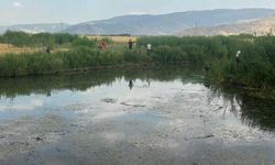 Beldedeki dere iki can aldı
