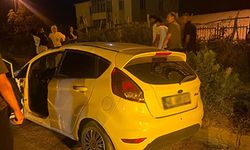 Van'da park halindeki araçta bir kişi ölü bulundu