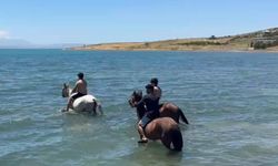 Sıcaktan bunalan gençler atlarıyla Van Gölü'nde serinledi