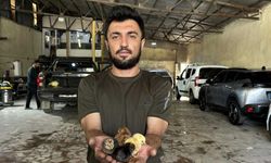 Bir belgesel izledi, hayatı değişti