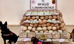 Van'da 333 kilo skunk ele geçirildi