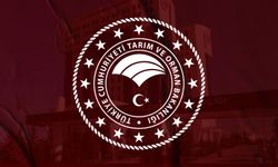Tarım ve Orman Bakanlığı Van'da personel alımı yapacak