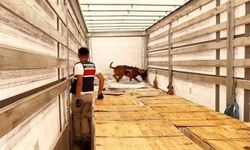 24 ildeki uyuşturucu operasyonlarında 80 kişi tutuklandı