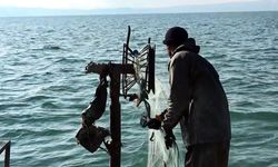 Van Balığı av yasağı sona erdi! Kaçak avcılara milyonlarca lira ceza kesildi