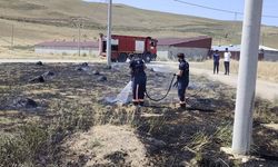 Van'da ot yangını paniği!