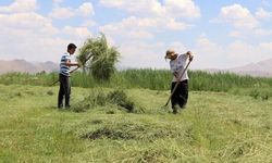 Van'da üreticinin umudu arttı