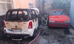 Van'da park halindeki araç alevlere teslim oldu