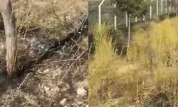 Van Alaköy'de Et Süt Kurumu Bahçesinde Çıkan Yangın Tepki Çekti