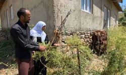 Bir ineği telef oldu, 7 inek, 5 buzağı sahibi oldu