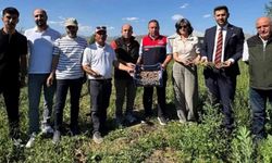 Yüksekova'da tarımda yeni dönem
