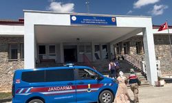 Van’da intihar denilen dosyada 2 amca tutuklandı