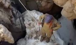 Uçurumdan düşen sigortalı buzağı için seferber oldular