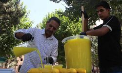 Cizre'de yaz aylarının serinleten lezzeti: Cizre limonatası