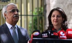 DEM Parti'den Öcalan ile görüşme sonrası açıklama geldi