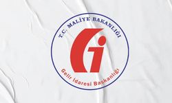 Gelir İdaresi Başkanlığı Van’da personel alımı yapacak