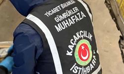Gümrüklerde bu yıl 58 bin 519 canlı hayvan ele geçirildi