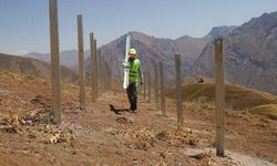 Hakkari'de 10 MW Güneş Enerjisi Santrali Kuruluyor