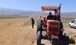Yüksekova’da sıcak havaya rağmen hasat mesaisi başladı