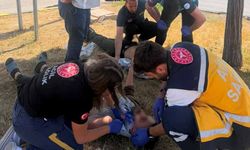 Van’da trafik kazası:2 yaralı