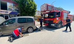 Muradiye’de araç içine sıkışan yavru kedi kurtarıldı