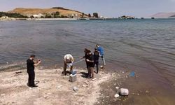 Van Gölü sahilindeki kirlilik ihbarları üzerine numune alındı