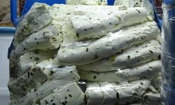 Yaz tatilinden dönenlerin tercihi Van otlu peyniri oldu