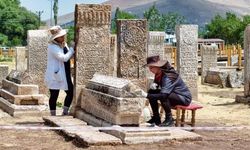 Van'da tarihi mezarlıktaki taşlar cerrahi titizlikle temizleniyor