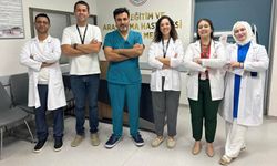 Van'da tüp bebek tedavisinde ilk gebelikler başladı