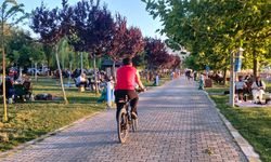 Van Gölü sahillerinde hafta sonu yoğunluğu