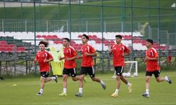Vanspor FK'de hedef ligde "kalıcı" olmak