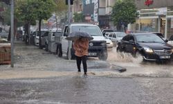 Van için yağış gözüktü! Meteoroloji tarih verdi