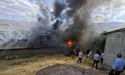 Van'ın Gevaş ilçesinde korkutan yangın!