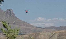 Sarılık hastası bebek ambulans helikopter ile Van'a getirildi
