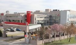 Van’da 8 ayda 230 marka başvurusu yapıldı