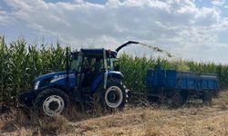 Tuşba’da "Silajlık Mısır Hasadı Tarla Günü" düzenlendi
